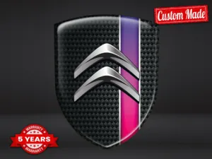 Citroen Vinilos Puerta Auto Alta Gama Profesional Personalizable